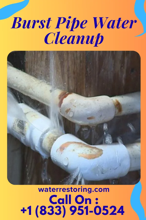 Burst Pipe Water Cleanup in Franklin, IN