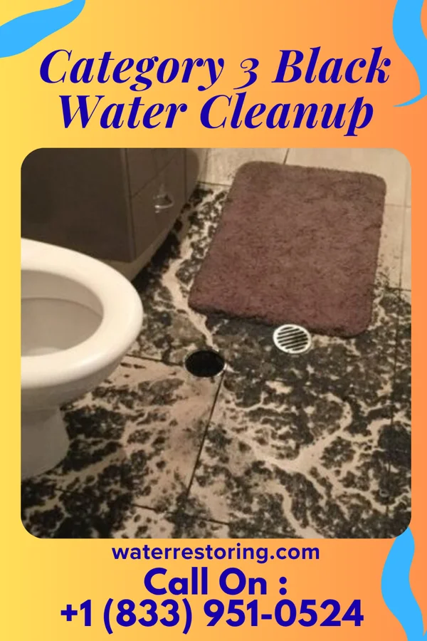 Category 3 Black Water Cleanup in Franklin, IN