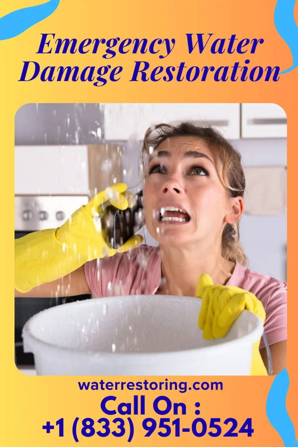 Emergency Water Damage Restoration in Franklin, IN