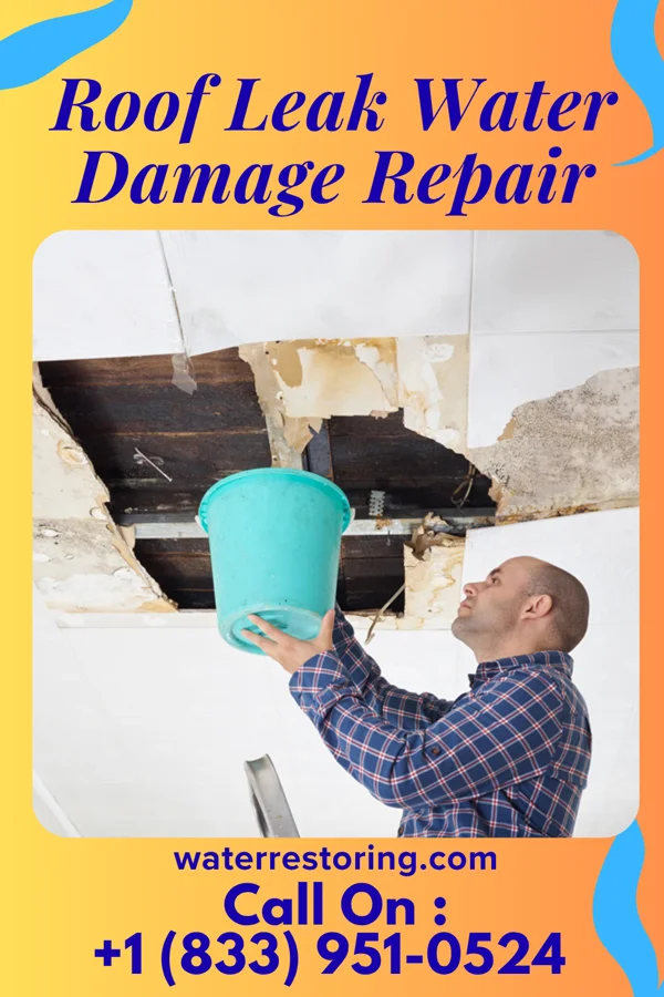 Roof Leak Water Damage Repair in Franklin, IN