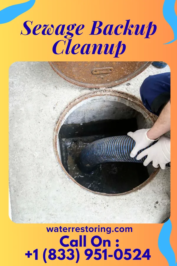Sewage Backup Cleanup in Franklin, IN